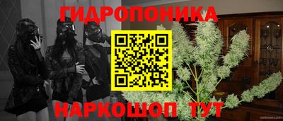 наркотики Владимир