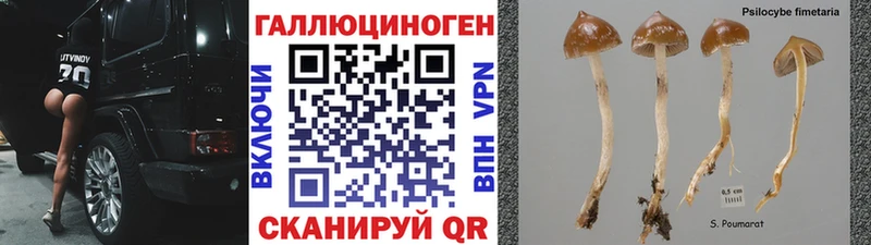 что такое наркотик Вологда Псилоцибиновые грибы прущие грибы
