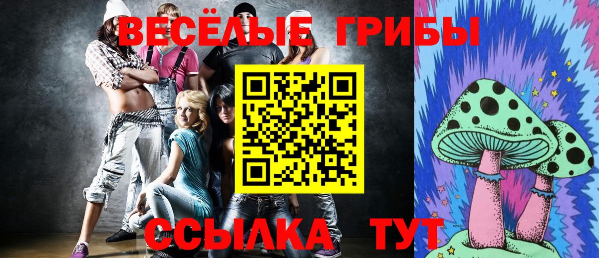 Вологда  Галлюциногенные грибы мухоморы  Вход с VPN 