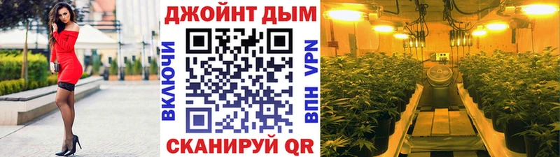 где можно купить наркотик  Вологда  Бошки марихуана VHQ 